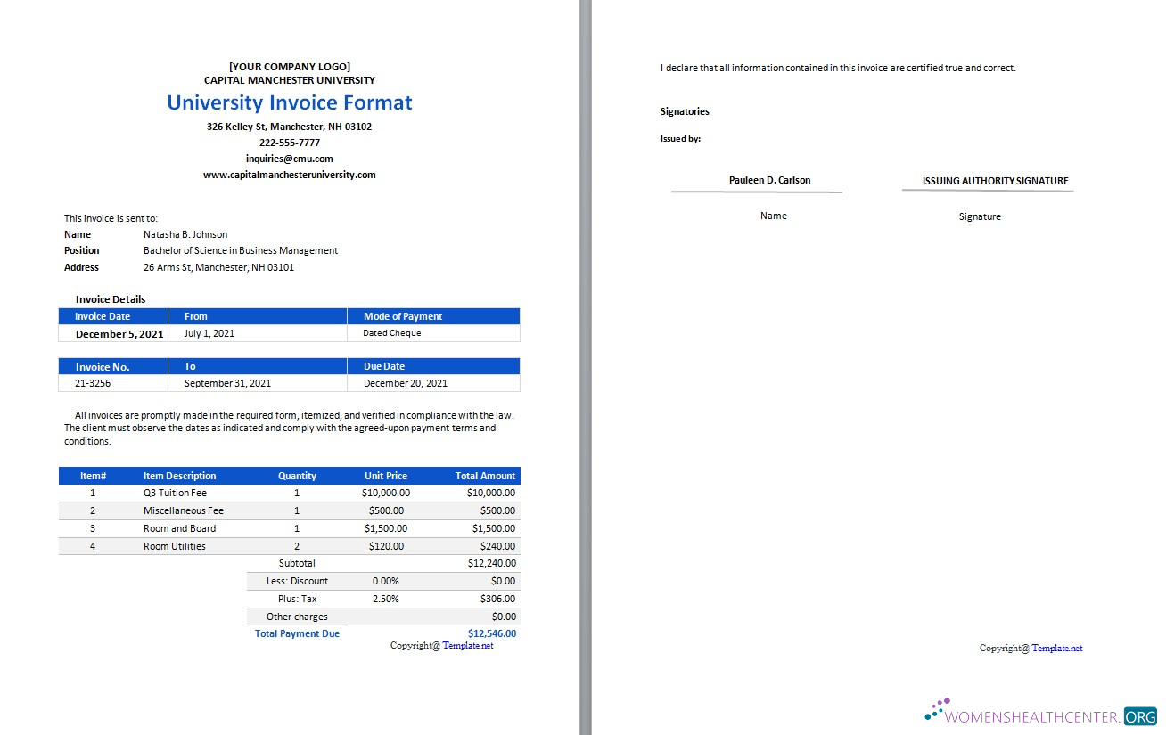 Download Free University Invoice Format Template Photoshop template
